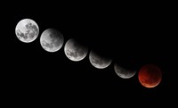 A composite showing different stages of the 2010 solstice total moon eclipse Fine Art Print