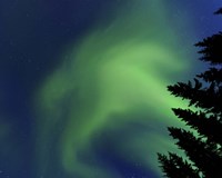 Aurora Borealis in Troms County, Norway Fine Art Print