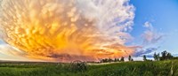 Panoramic view of mammatocumulus clouds, Alberta, Canada Fine Art Print