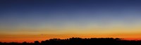 Wide panorama of Comet Panstarrs, Buenos Aires, Argentina Fine Art Print