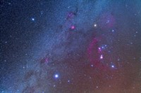 Orion and the Winter Triangle stars Fine Art Print