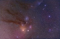 Antares and Scorpius Head area with Rho Ophiuchi nebulosity Fine Art Print