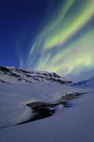 Aurora Over Skittendalstinden in Troms County, Norway Fine Art Print