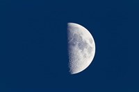 First quarter moon taken near sunset with sky still bright in twilight Fine Art Print