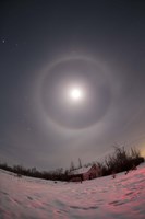 Lunar halo taken near Gleichen, Alberta, Canada by Alan Dyer - various sizes - $47.49