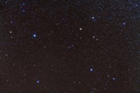 Pegasus constellation in the northern sky Fine Art Print