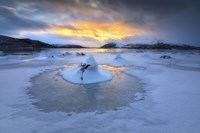 A frozen fjord that is part of Tjeldsundet in Troms County, Norway Fine Art Print