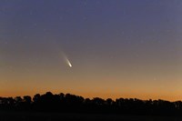 Comet Panstarrs at twilight,  Buenos Aires, Argentina Fine Art Print