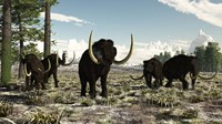 Woolly Mammoths in the prehistoric northern hemisphere Fine Art Print