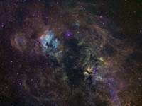 Widefield image of narrowband emission in Cygnus by Filipe Alves - various sizes