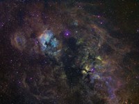 Widefield image of narrowband emission in Cygnus Fine Art Print