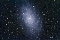 The Triangulum Galaxy Fine Art Print
