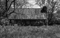Abandoned Log Home Fine Art Print
