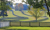 Stacked Split-Rail Fences in Appomattox, Virginia Fine Art Print