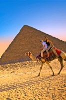 Camel ride, Great Pyramids, Cairo, Giza Plateau, Egypt Fine Art Print