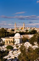 Bourguiba Mausoleum and cemetery in Sousse Monastir, Tunisia, Africa Fine Art Print