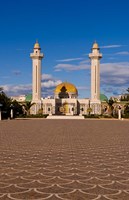 Bourguiba Mausoleum, Sousse area, Monastir, Tunisia Fine Art Print