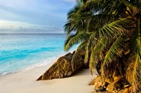 Ansi Victorin Beach, Seychelles Fine Art Print