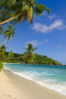 Beach at Chez Batista's Restaurant, Seychelles Fine Art Print