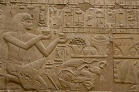 Egypt, Luxor, Luxor Temple, Hieroglyphics Fine Art Print