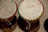 Gambia, Banju, Wooden drums, musical instrument Fine Art Print