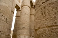 Hieroglyphic covered columns in hypostyle hall, Karnak Temple, East Bank, Luxor, Egypt Fine Art Print