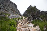 Hiking Up Table Mountain, Cape Town, Cape Peninsula, South Africa Fine Art Print