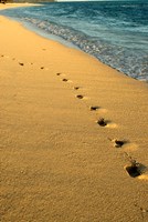 Footprints in the Sand, Mauritius, Africa Fine Art Print