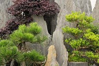 Bao's Family Garden, Huangshan, China Fine Art Print