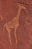 Ancient rock etchings, Twyfelfontein, Damaraland, Namibia Fine Art Print