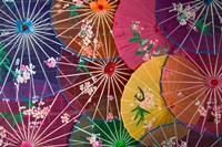 Colorful Silk Umbrellas, China Fine Art Print