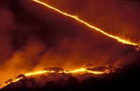 Forest Fire, Gombe National Park, Tanzania Fine Art Print