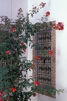 Courtyard with Zellij (Mosaic Tilework), Marrakech, Morocco Fine Art Print
