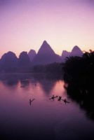 Fishing rafts on Li River, dawn, Guangxi Province, China Fine Art Print