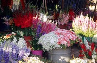 Bunch of Flowers at the Market, Madagascar Fine Art Print