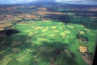 Aerial View of Fields in Northern Madagascar Fine Art Print