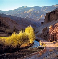 Afghanistan, Bamian Valley, Dirt road and stream Fine Art Print