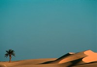 Golden Mummies, Bahariya Museum, Valley of the Golden Mummies, Egypt Fine Art Print