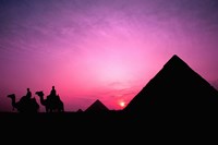 Colorful Sunset Silhouetting Men and Camels at the Great Pyramids of Giza, Egypt Fine Art Print