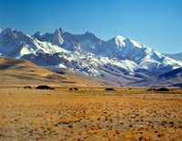 Afghanistan, Bamian Valley, Mountains, Kuchi camp Fine Art Print