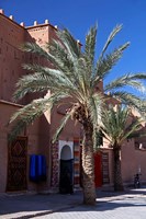 Berber Carpets of Ourzazate, Morocco, Africa Fine Art Print