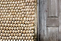 Cowrie shells on wall of building, Ibo Island, Morocco Fine Art Print