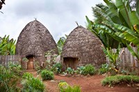 Dorze in the Guge Mountains, Ethiopia Fine Art Print