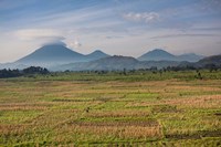 Farmland around Kisoro, Kigezi, Africa Fine Art Print