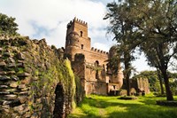 Fasil Ghebbi, Castle, Gonder, East Africa Fine Art Print