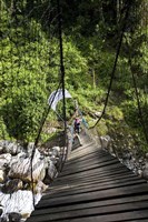 Hiking, Kurt Shafer Bridge, Uganda Fine Art Print