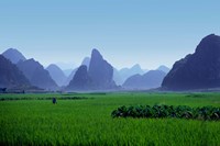 Farmland with the famous limestone mountains of Guilin, Guangxi Province, China Fine Art Print