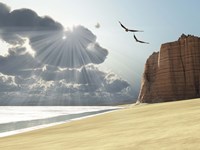 Sunlight shines down on two birds flying near a cliff by the ocean Fine Art Print