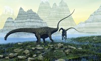 Diplodocus dinosaurs munch on vegetation near a mountain lake by Corey Ford - various sizes