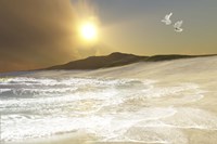 Two white doves fly over waves coming to shore on a remote beach Fine Art Print